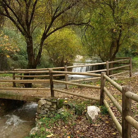 Cortijo Del Alcazar *