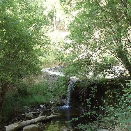 Cortijo Del Alcazar