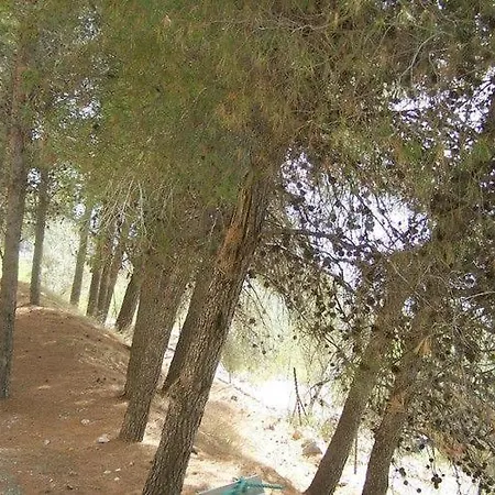 Cortijo Del Alcazar Alcaucín