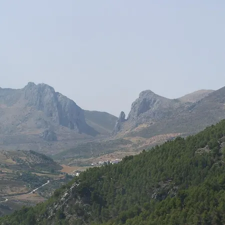 Cortijo Del Alcazar