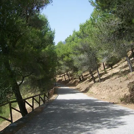 Apartamento Cortijo Del Alcazar