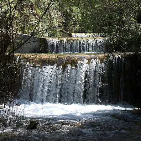 Cortijo Del Alcazar *