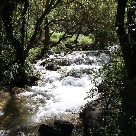 Apartamento Cortijo Del Alcazar *